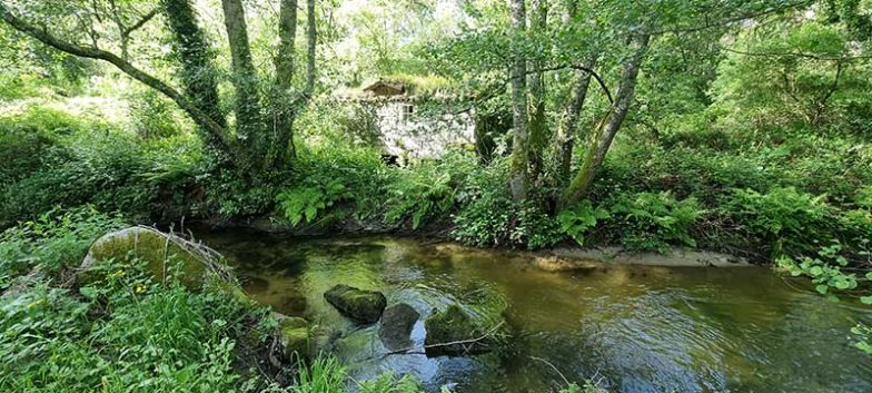 Senda Fluvial del Río Grañal