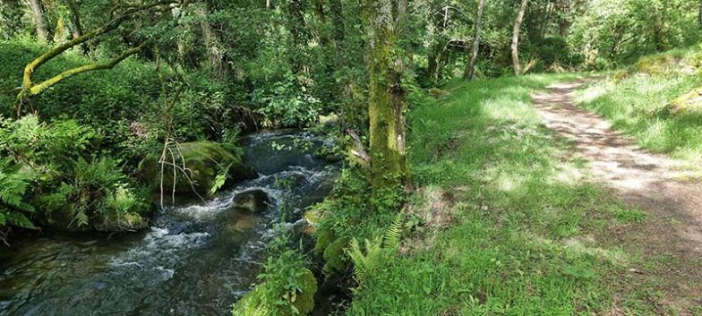 Senda Fluvial del Río Grañal