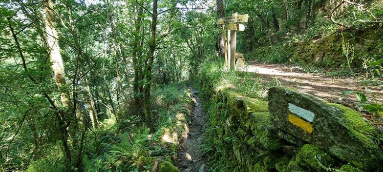 Fervenza de Augacaída y Castro de Marce