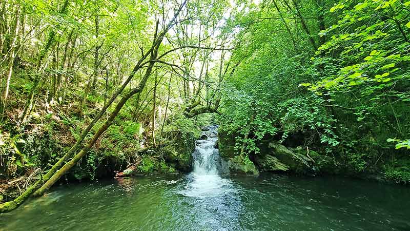 Ruta por el río Irbienza