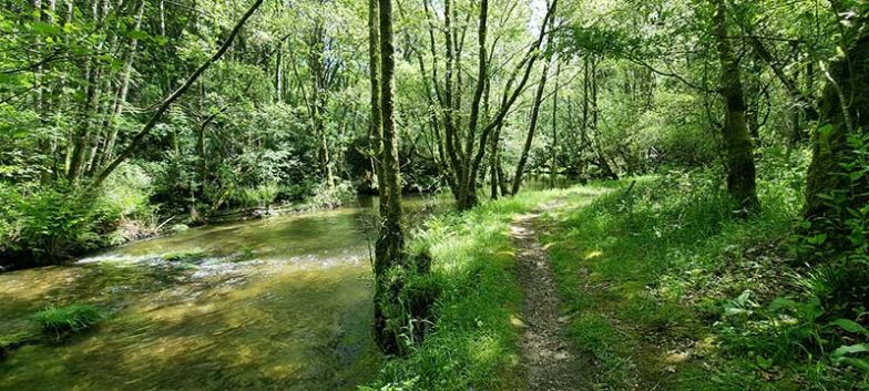 Sendero ecológico de Peilán