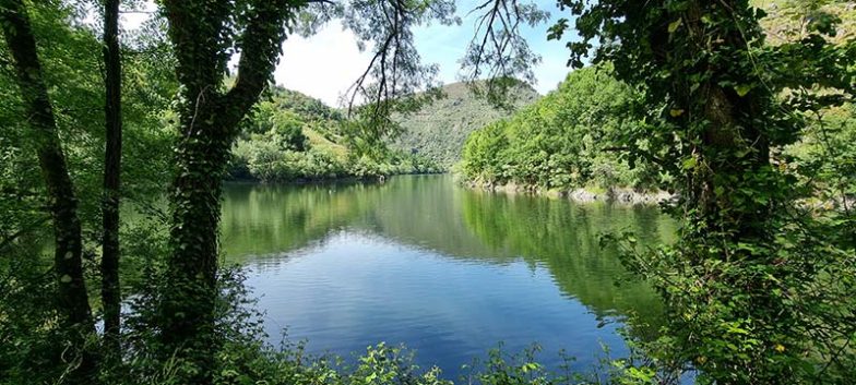 pasarelas del río Mao en la Ribeira Sacra