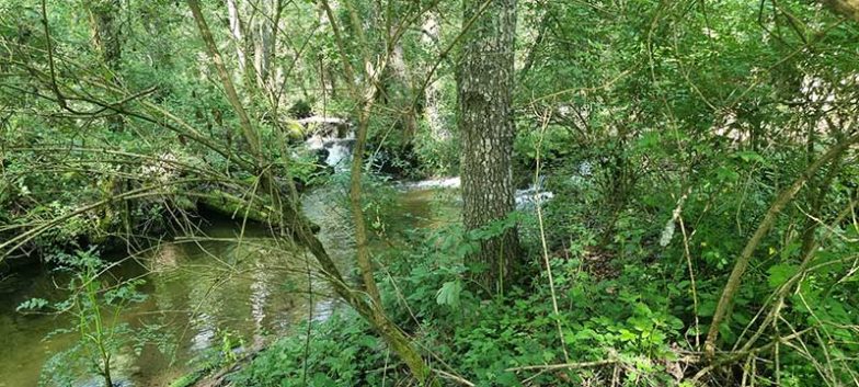 Senda Fluvial del Río Grañal