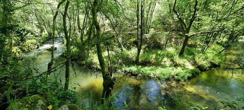 Sendero ecológico de Peilán