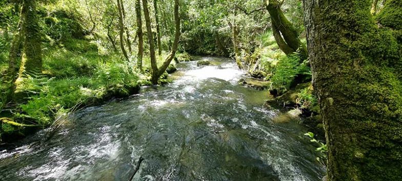 Sendero ecológico de Peilán