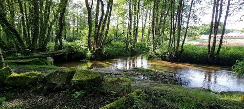 Senda Fluvial del Río Grañal