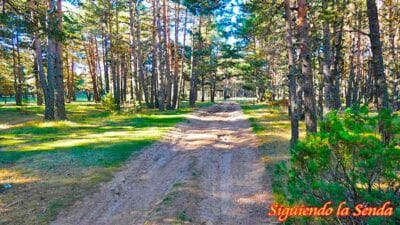 LAGUNA-NOGUERA-RUTA, que ver en Teruel