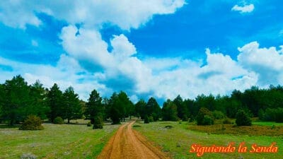 ALTO-BARRACAS-CERRO-CALDERON
