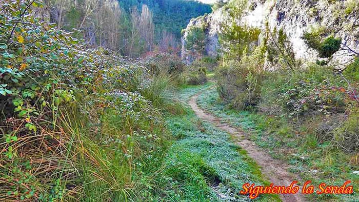 escritorio Frontera Suponer Las hoces del río Mira: en Cuenca » ⭐️Guía Completa⭐️ » 2023 » Siguiendo la  Senda