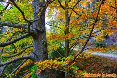 FAGEDA-RETAULE