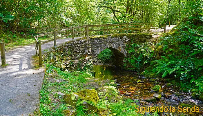 cascada del Chorron