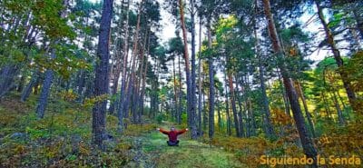 BOSQUE_ORIHUELA_DE_TREMEDAL_MIRADOR_DE_LA_PORTERA_0