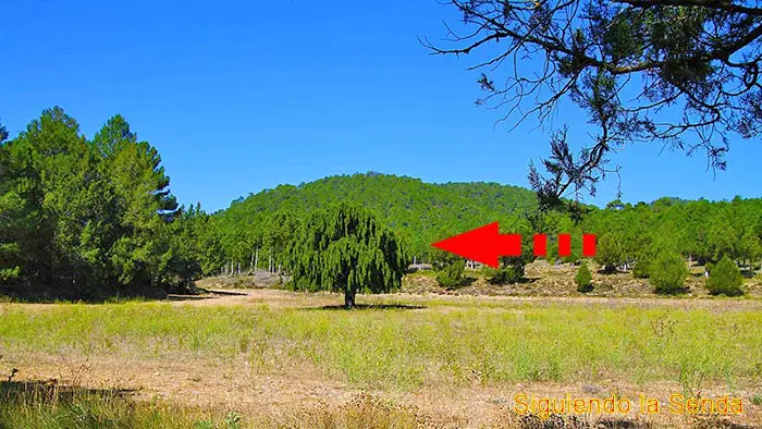 Ruta las fuentes, desde el balneario de Manzanera a la fuente del gavilán.