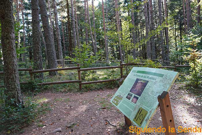 Ruta por la Selva de Oza: Siente la Magia del Hayedo-Abetal 8 Vista panorámica del círculo megalítico de la Corona de los Muertos en el valle de Oza, Huesca.