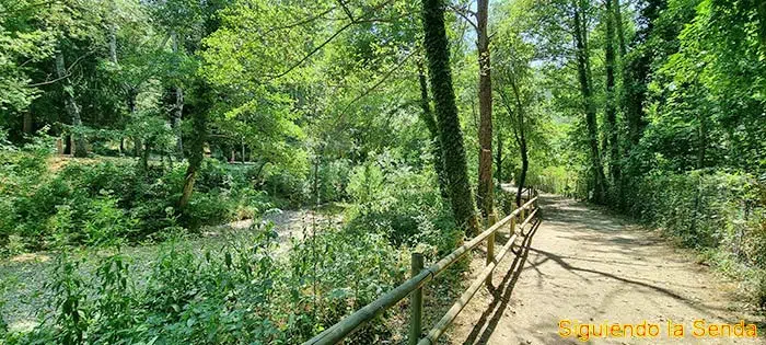 Torrent de la Cabana