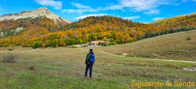 Bosque de Gamueta desde el refugio de Linza