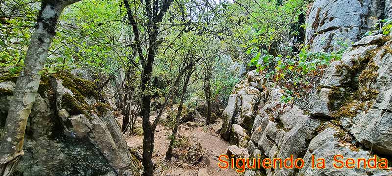 Torcal de Antequera