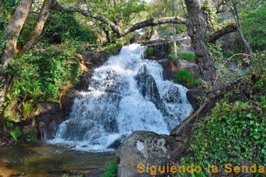 Ruta a la Garganta la Puria: Cascadas, Pozas y Naturaleza 17 Garganta la Puria