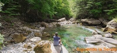Río Ara, Pirineo Aragonés