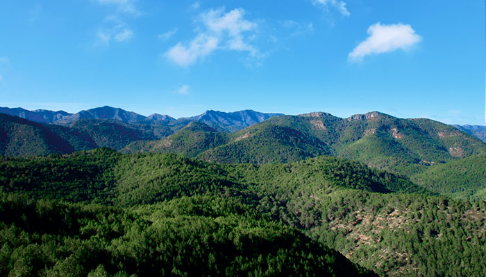 Sierra de Espadán