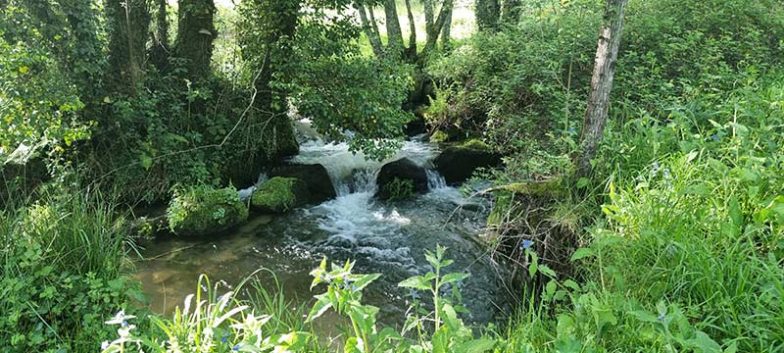 Senda Fluvial del Río Grañal