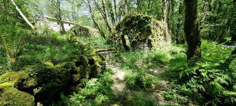 Sendero ecológico de Peilán