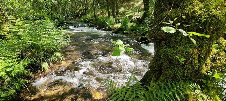 Sendero ecológico de Peilán