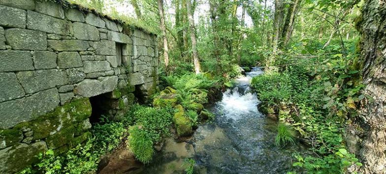 Senda Fluvial del Río Grañal