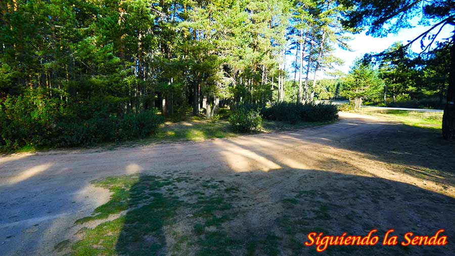 Sumérgete en la Belleza de la Laguna de Noguera: Un Lugar Único 11 Zona de aparcamiento secundaria o mirador junto a la Laguna, con coches aparcados cerca del agua y el pinar.