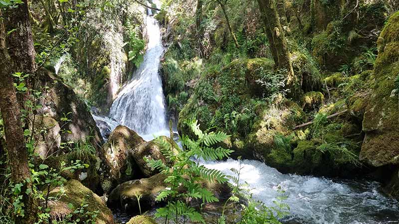 Fervenzas de Raxoi e Parafita: Un Tesoro Natural en el Corazón de Galicia 11 El sendero del bosque junto al Río Valga antes de llegar a la cascada principal.