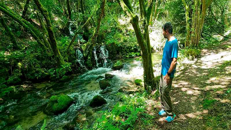 Senda del Río Maneses: La Guía Definitiva del Sendero Mágico de Galicia 13 Pequeño arroyo de aguas cristalinas que desemboca en el río Maneses a lo largo del sendero.
