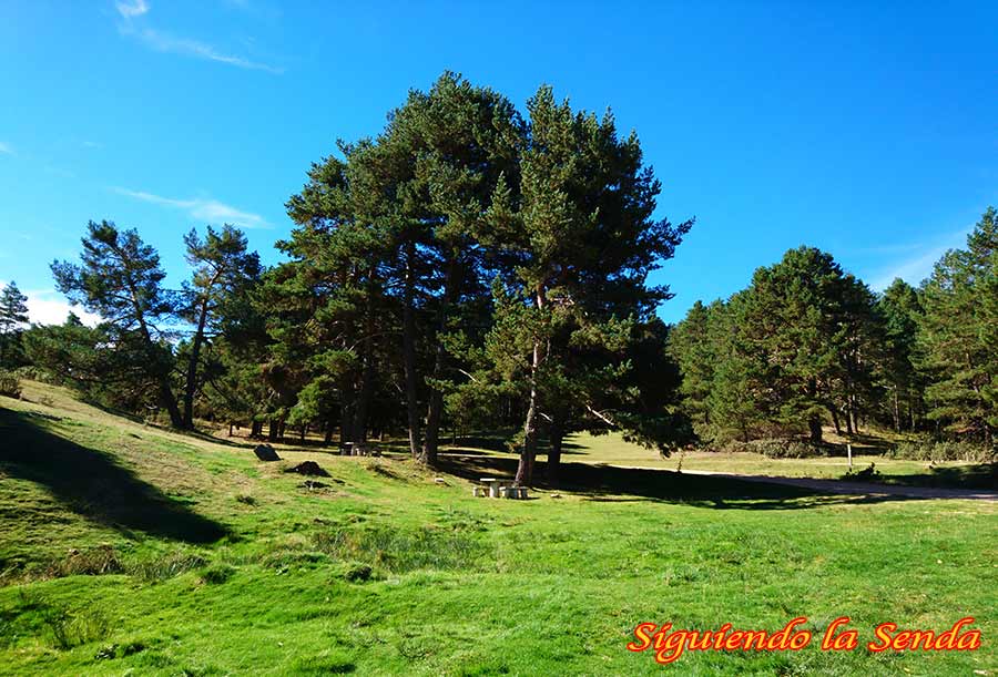 Sumérgete en la Belleza de la Laguna de Noguera: Un Lugar Único 4 Área recreativa junto a la Fuente del Ojuelo, con bancos y mesas de madera a la sombra de los árboles, ideal para un picnic.