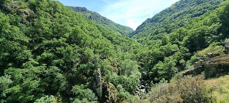 La naturaleza salvaje del Cañón del Río Mao. Impresionante vista del Cañón del Río Mao desde las pasarelas de madera en Parada de Sil.