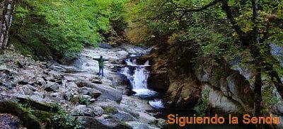 Selva de Irati, Cascada del Cubo, bosque de Zabaleta