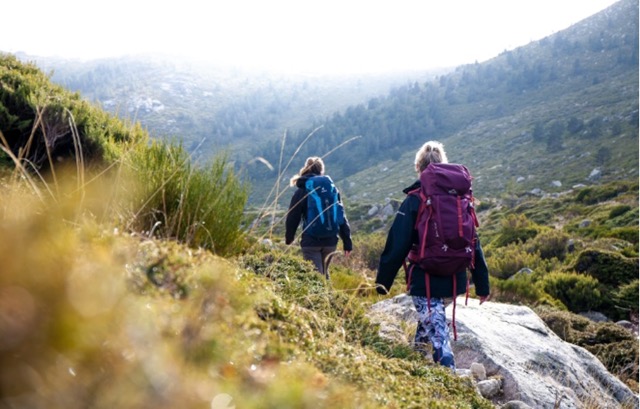 Disfruta la Naturaleza Cerca de Madrid en la Senda Schmidt 1 Cercedilla