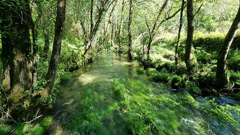 Fervenza río Barragán o Pozo Machado