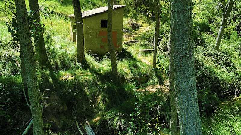 Ruta las Fuentes en Manzanera. Desde la fuente del Gavilán al Balneario el Paraíso 17 La frondosa y verde zona de la Fuente de las Especias, un rincón lleno de biodiversidad en la Ruta las Fuentes.