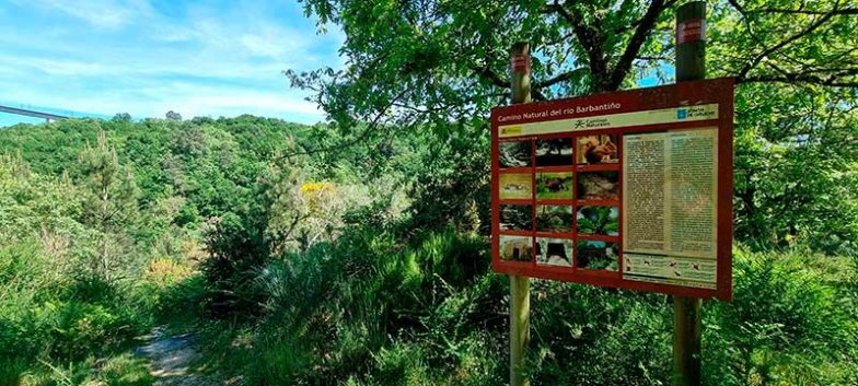 Fervenza do Barbantiño