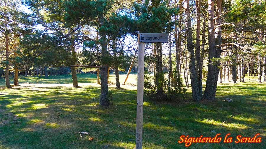 Sumérgete en la Belleza de la Laguna de Noguera: Un Lugar Único 3 Vista panorámica de la Laguna de Noguera, rodeada de un frondoso pinar y con el cielo azul reflejado en sus aguas tranquilas.
