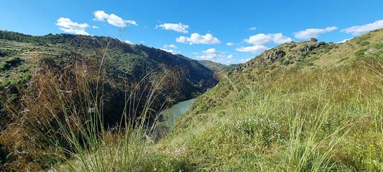 POZO-AIRON-MIRADOR-DEL-DUERO