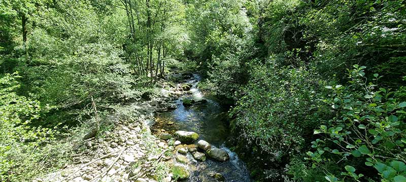 Escucha el sonido del agua mientras caminas. Aguas cristalinas del río Mao vistas desde el sendero en la Ribeira Sacra.