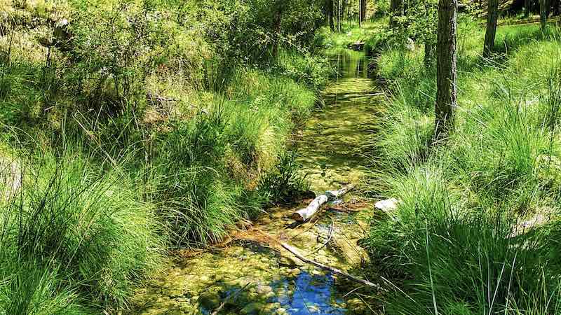 Ruta las Fuentes en Manzanera. Desde la fuente del Gavilán al Balneario el Paraíso 15 El río Torrijas fluyendo entre rocas y vegetación de ribera a lo largo de la Ruta las Fuentes.