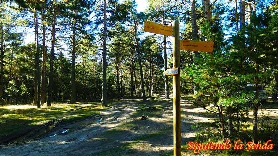 Sumérgete en la Belleza de la Laguna de Noguera: Un Lugar Único 2 Bifurcación de senderos en el bosque, indicando el camino de la izquierda como la dirección correcta hacia la laguna.