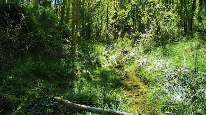 Ruta las Fuentes en Manzanera. Desde la fuente del Gavilán al Balneario el Paraíso 16 Sendero de tierra estrecho que discurre paralelo al río Torrijas durante un tramo de la Ruta las Fuentes.
