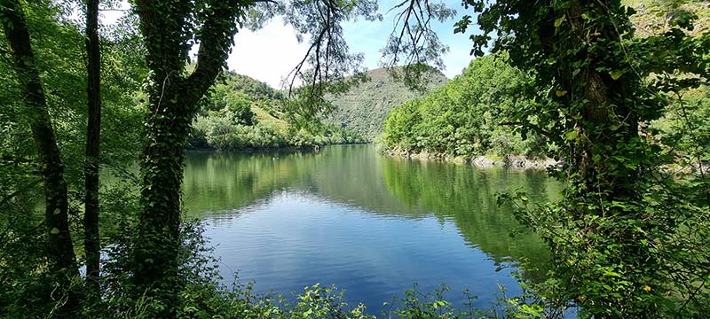 Conecta con la naturaleza en el tramo más cercano al río. Sendero de tierra que discurre pegado a la orilla del río Mao, rodeado de vegetación.