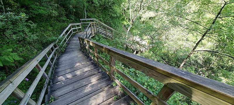 El final del tramo aéreo de la ruta. Último tramo de las pasarelas de madera antes de continuar por el sendero de tierra.