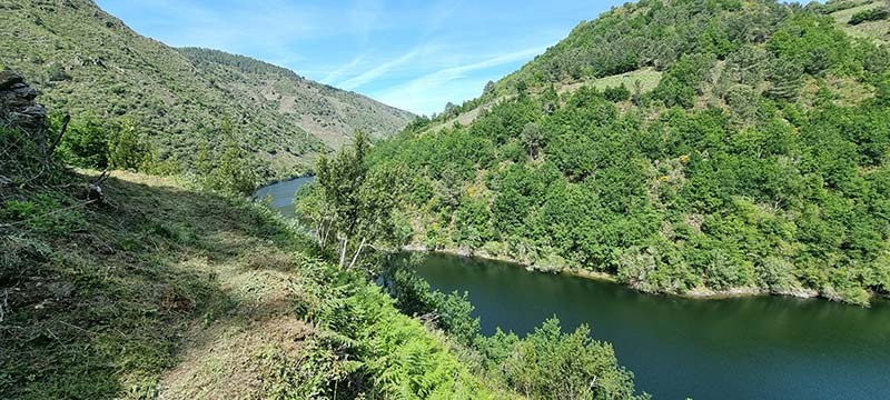 Ya casi has llegado a la mejor vista de la ruta. Últimos metros del sendero ascendiendo entre viñedos antes de llegar al mirador del Cañón del Sil.