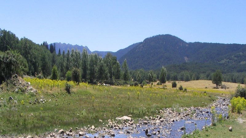 Disfruta la Naturaleza Cerca de Madrid en la Senda Schmidt 2 Bosques de Valsaín - Senda Schmidt