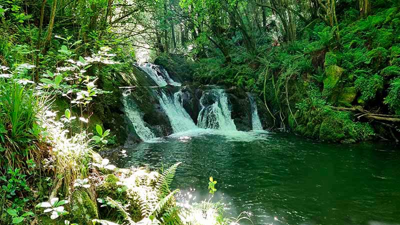 ruta por el río Irbienza