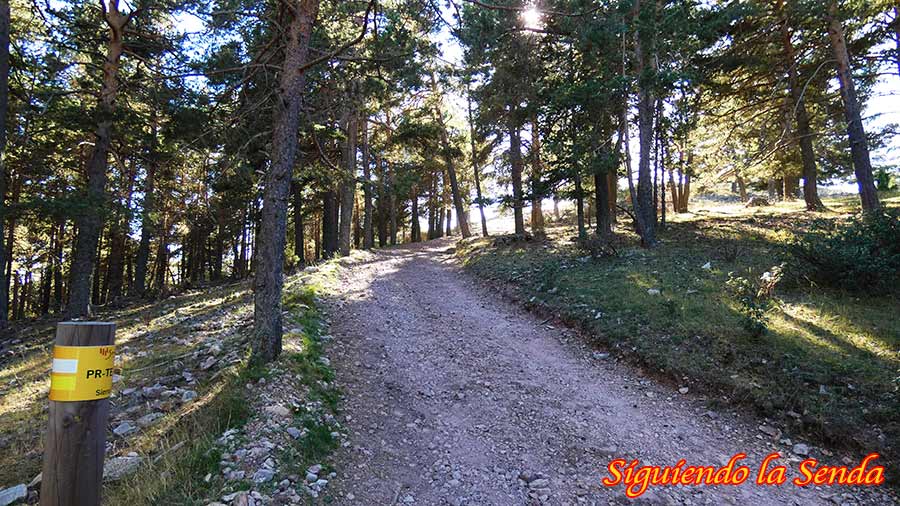 Último tramo de subida con una pequeña cuesta de tierra y rocas justo antes de llegar a la cima de Sierra Alta.
